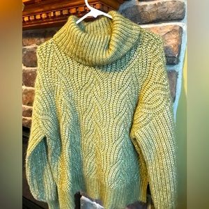 Green turtle neck sweater. Does have some pilling which can be easily shaved off